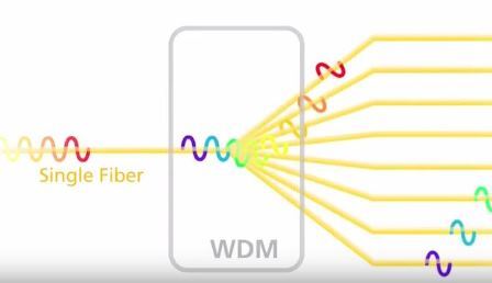 WDM-video-capture