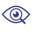 eye with magnifying glass icon